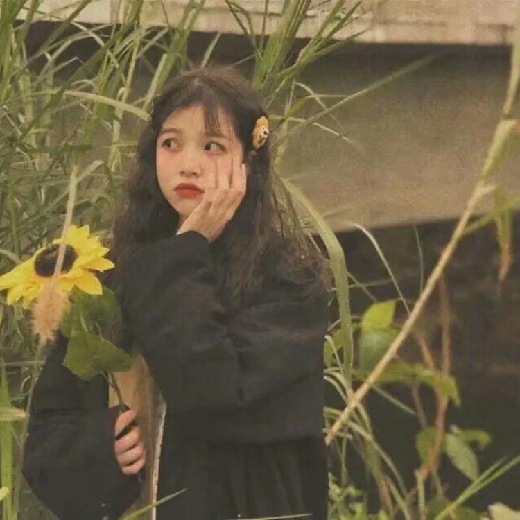 平田薰（饰 关原妙） - 教育课程视频在线观看 - 平板追剧